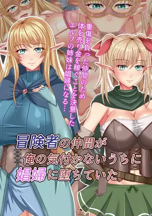 When Did My Elf Companions Become Prostitutes