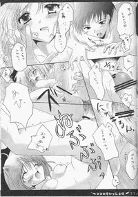 [Hisuitei (Izumi Tsubasu)] Kokoro mo Issho ni (Ragnarok Online)