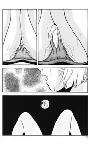 [Company N (Yoshino Shiho)] Gekka Bijin (Neon Genesis Evangelion)