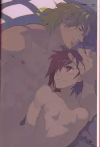 (C78) [Article 60 of Criminal Code (Shuhan)] Dianthus. EA02 (Skies of Arcadia)