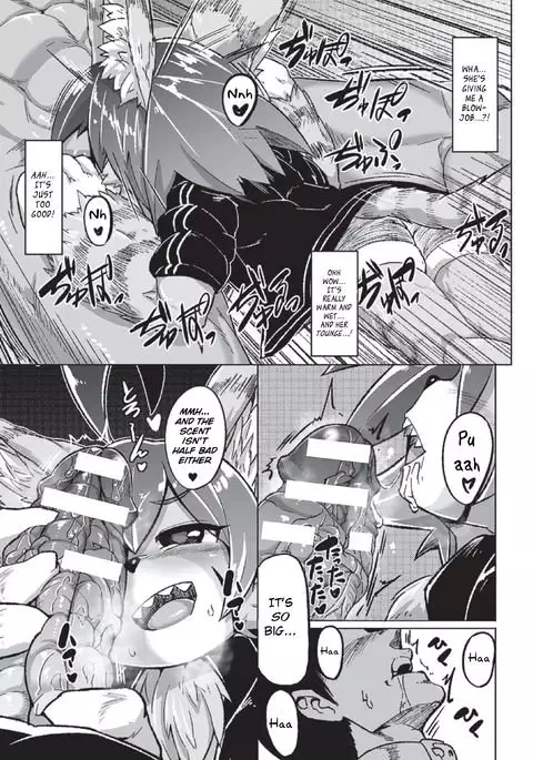 Tadashii Neko no Kawa Rekata