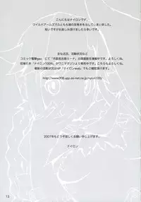 (C71) [Nylon 100% (Nylon)] OJYO-TO NENGORO? (WILD ARMS)