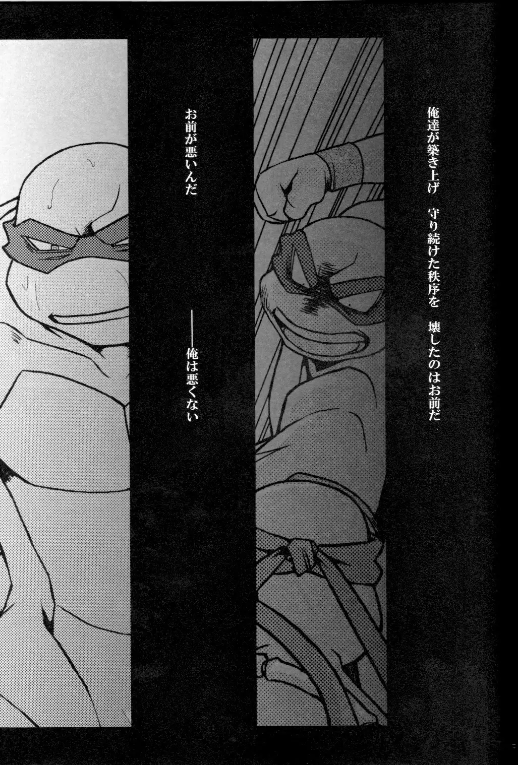 FALLEN - Raph vs Leo - Teenage Mutant Ninja Turtles, TMNT doujinshi
