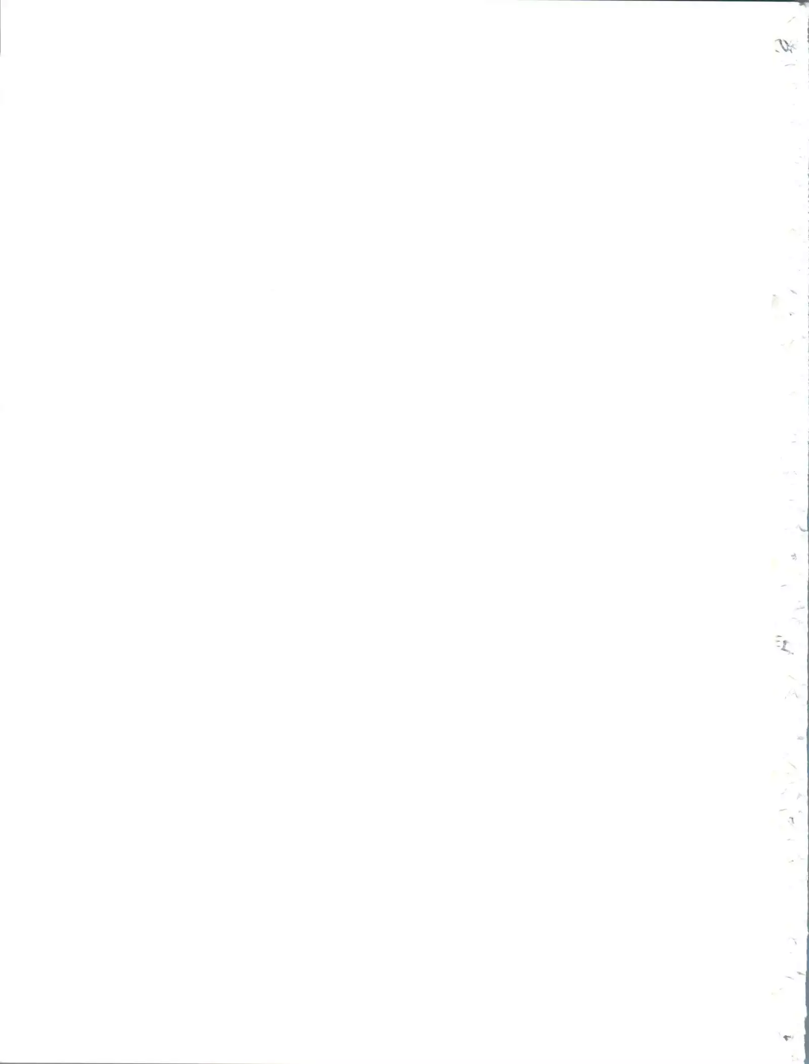 Tenchi Musou! Munomaki