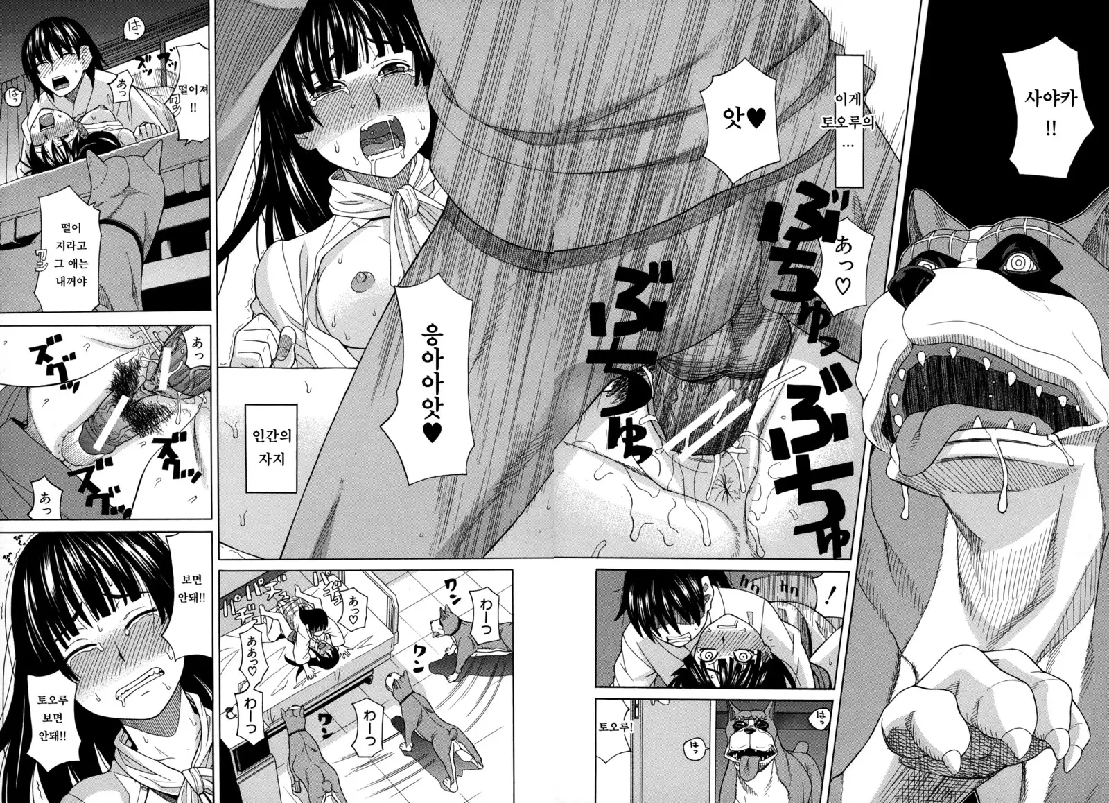 Moteru Inu no Ikizama