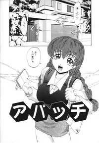 [Takaoka Motofumi] Oneesan no Fukurami