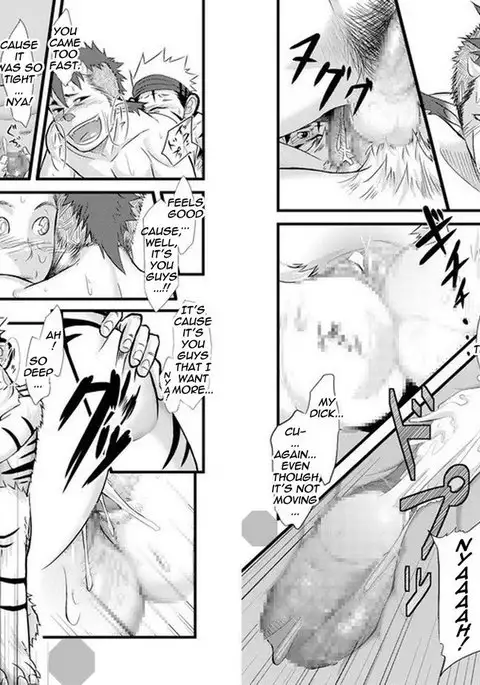 Determined Tiger Monkey Cow