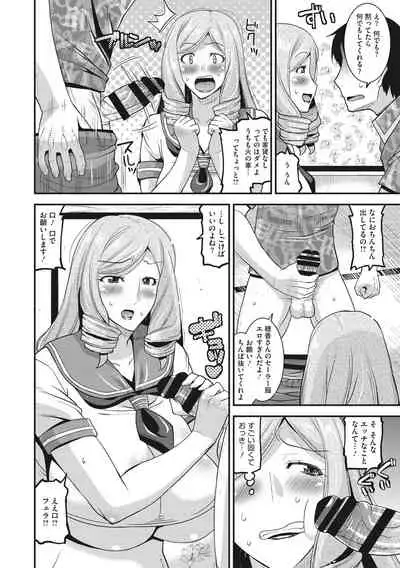 Hitozuma wa Daretodemo Yaritai