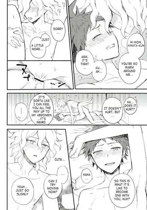 Daisuki no Kakushin |The Heart of the Matter of Love