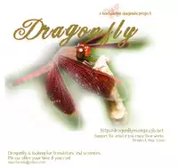 [HYPER REALITY (Tennouji Mio)] Pink Killer (Prince of Tennis) [English] [Dragonfly]