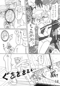 Tsurupeta Kenkyuusho Houkokusho