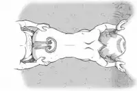 [pink-noise (Mizuiro Megane)] Mama Shot-ime Outdoor Hen