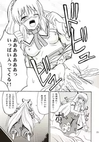 (C67) [Takaku-ya (Takaku Toshihiko)] Touhou Youjo Ranbu (Touhou Project)