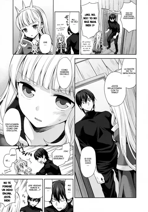 Renkinjutsushi ni Oukan o 3