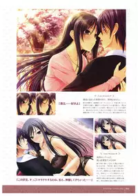 Walkure Romanze More & More Visual Fan Book