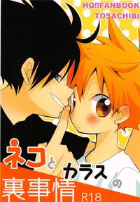 (C86) [Piyotama (Ayana Rio)] Neko to Karasu no Ura Jijou (Haikyu!!)