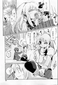 COMIC HimeDorobou 2009-05 (Corrected)