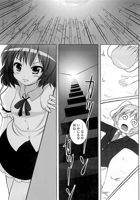 Shameimaru Reserch 20XX