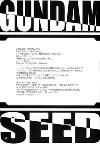 [Otogiya (Mizuki Haruto)] Battle of Twins ~Ketsumatsu no Kizuna~ (Gundam Seed)