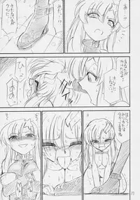 (C70) [EINSATZ GRUPPE (Charlie Nishinaka)] PRISONER 8 Miserable Birds (Gundam SEED DESTINY)