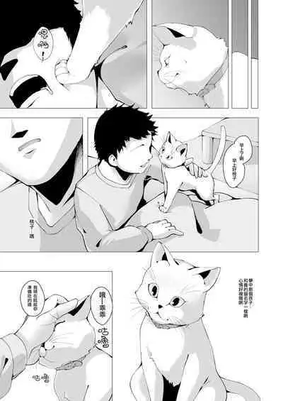 Itsuka Yume no Tsuzuki o