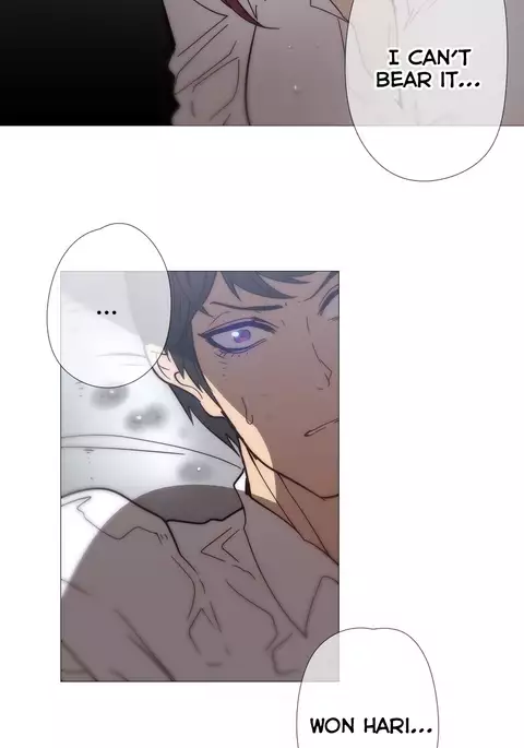 Household Affairs Ch.1-50