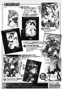 COMIC Megastore 2008-04