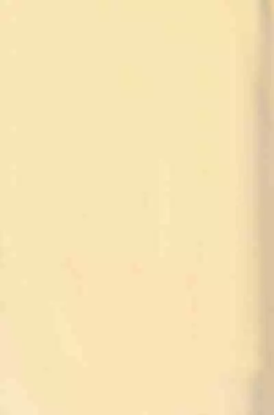 I’m crazy about you.