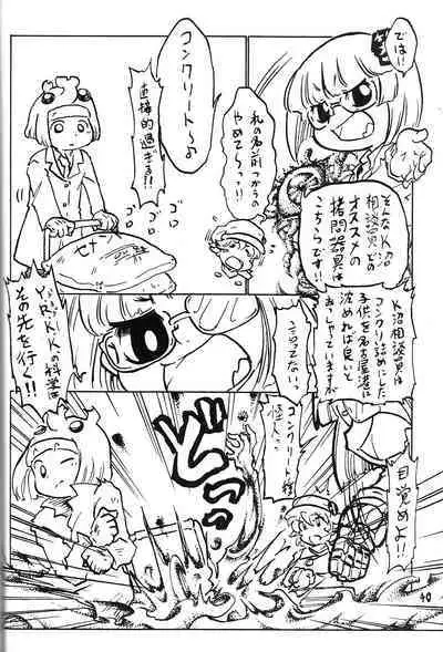 Tsurupeta Kenkyuu Houkokusho 011