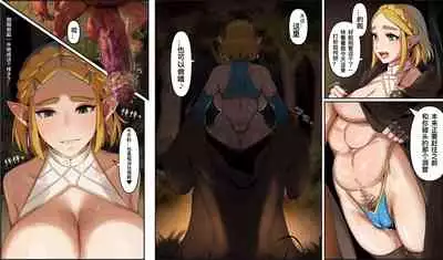 塞尔达传说:旷野之息-海拉鲁王族的复兴