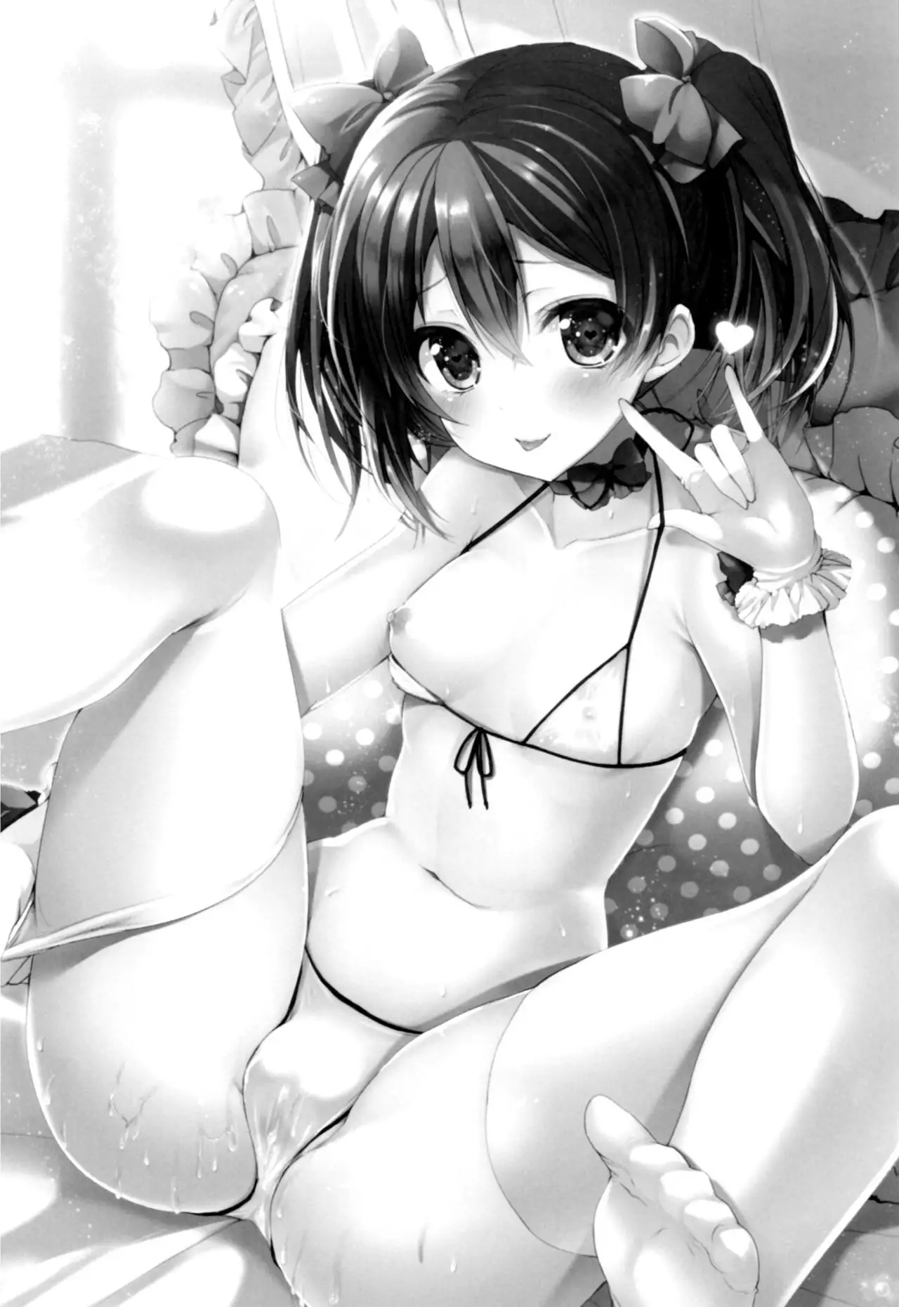 Love Nico Live! Love Nico Soushuuhen