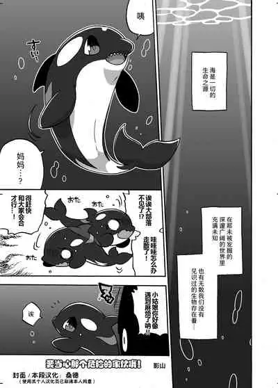 Shachi Ero wa Ikaga!? | 鲸身乌染！？