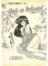 COMIC Papipo Gaiden 1995-11 Vol.17