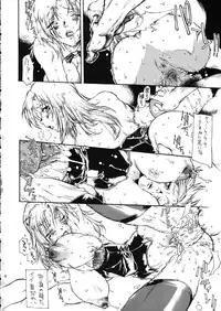 [Iconoclast (B-MARY)] Kotou No Oni (Dead or Alive)