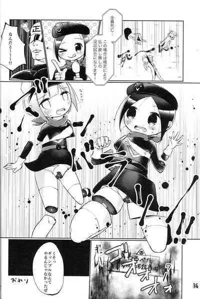 Tsurupeta Kenkyuu Houkokusho 011