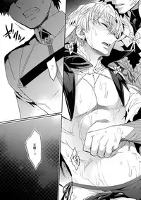 (C93) [Crazy9 (Ichitaka)] Shokushu × Casgill (Fate/Grand Order)