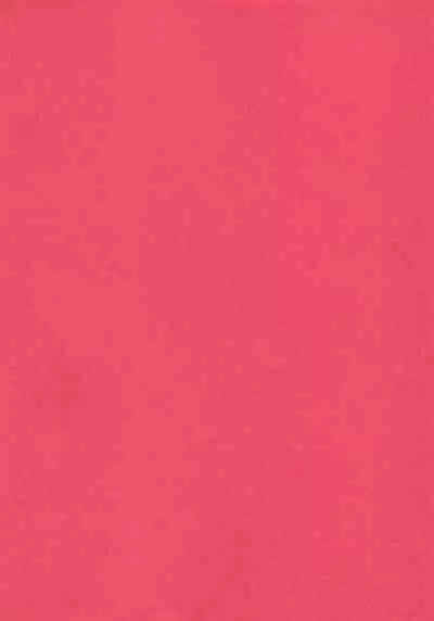 Neko ni naritakatta Tora. Tora o aishita Byakko.