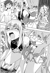 (COMIC1☆6) [Donzoko Kashiwa Meshi (Mask the J)] Altina Weapon (Shining Blade)