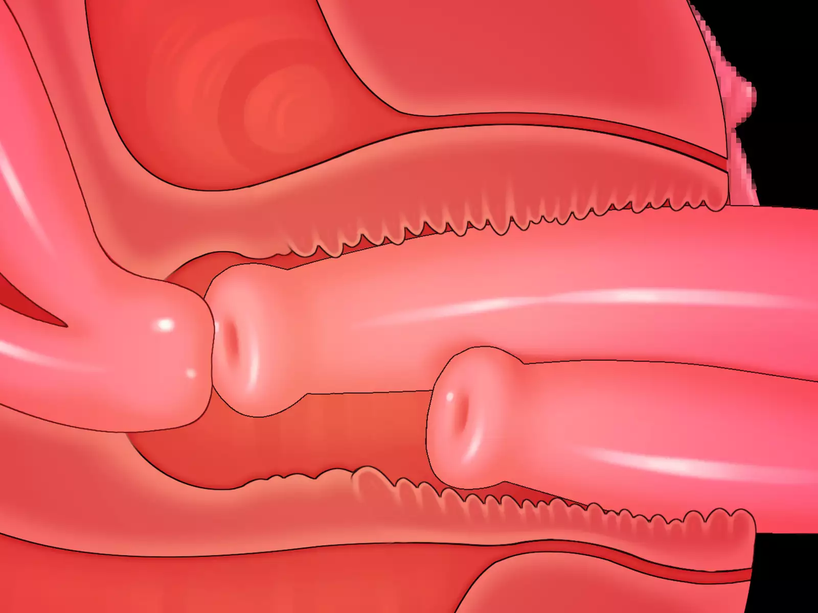 New Futanari Paid Dating