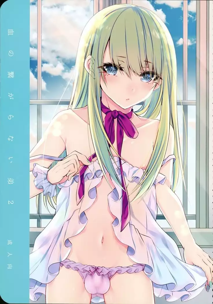 Chi no Tsunagaranai Otouto 2