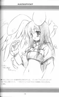 (C63) [Renrendou (Gayarou)] Magnificat (Ragnarok Online)