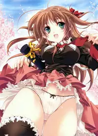 [Miyama Zero] MOEOH Selection Custom Maid Girl ~Miyama Zero Gashuu~