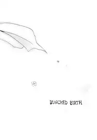 (C74) [Shounen Kyouso (Dr. Ten)] FAIRY LAND (VOCALOID)