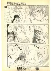 COMIC Papipo Gaiden 1995-11 Vol.17