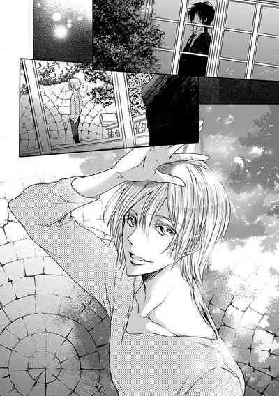 鬼畜兄弟の悶絶調教～私はいいなり奴隷～