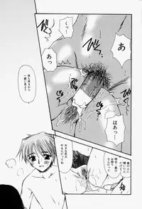 [Sakura Mitono] Higawari Lunch