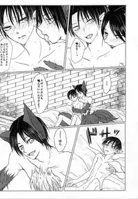 (Kyuushuu Hekigai Chousa Haku) [Oversight (Machiko)] CrazyMoon (Shingeki no Kyojin)