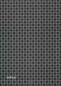 (C66) [IIWAKE-GAISYA (Shigemiya Kyouhei)] Hatsujou Toiki (Fate stay night)