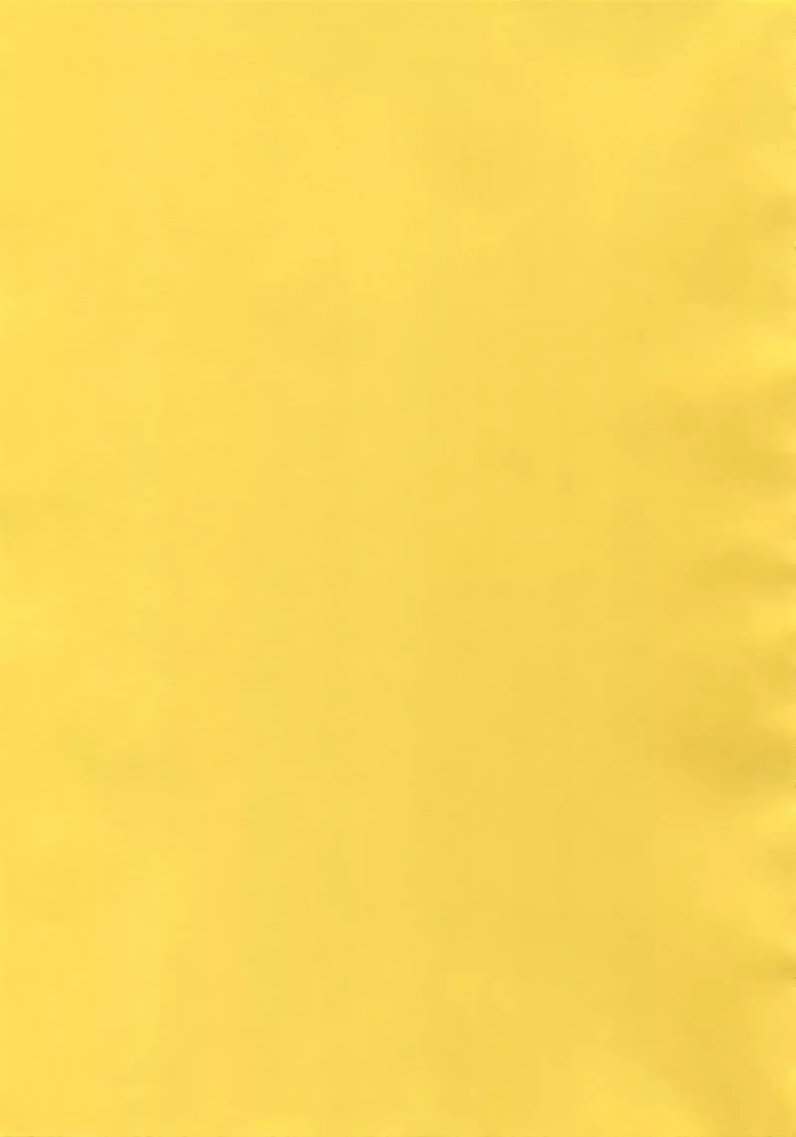 Megagirl 2 Jakoru Ookami