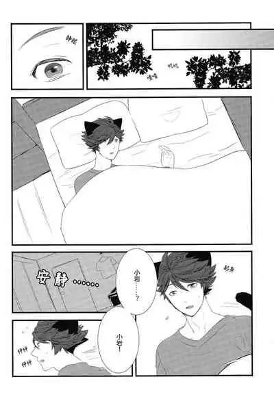 Iwa-chan no Neko ni Naritai | 我想成为小岩的猫